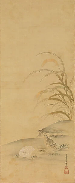 Quail and Millet, late 17th century. Creator: Kiyohara Yukinobu