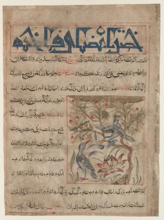 Framed Print : Qualities of Ringdoves (recto); On the Benefits of Quails (verso)... c. 1300. Creator: Unknown Framed Print : Qualities of Ringdoves (recto); On the Benefits of Quails (verso)... c. 1300. Creator: Unknown