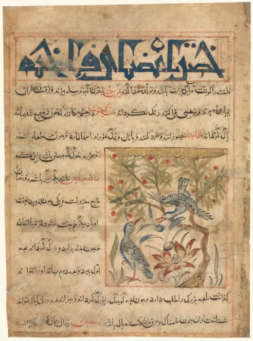Framed Print : Qualities of Ringdoves (recto) from a Manafi al-Hayawan (On the Usefulness of Animals)…, c Framed Print : Qualities of Ringdoves (recto) from a Manafi al-Hayawan (On the Usefulness of Animals)…, c