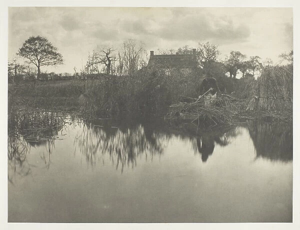 Quanting the Gladdon, 1886. Creator: Peter Henry Emerson
