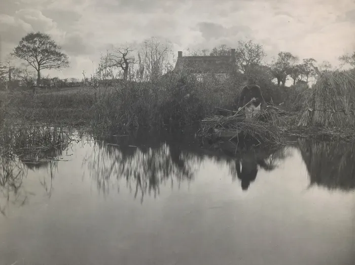 Framed Print : Quanting the Gladdon, 1887. Creator: Peter Henry Emerson Framed Print : Quanting the Gladdon, 1887. Creator: Peter Henry Emerson