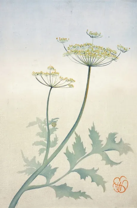 Framed Print : Queen Anne's Lace, about 1908. Creator: Wilhelmina Seegmiller. Queen Anne's Lace, about 1908. Creator: Wilhelmina Seegmiller Framed Print : Queen Anne's Lace, about 1908. Creator: Wilhelmina Seegmiller. Queen Anne's Lace, about 1908. Creator: Wilhelmina Seegmiller