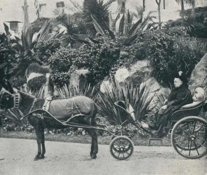 Framed Print : The Queen Driving in the Grounds of the Grand Hotel at Grasse During Her Holiday in the Riviera in Artist: Alexander Lamont Henderson Framed Print : The Queen Driving in the Grounds of the Grand Hotel at Grasse During Her Holiday in the Riviera in Artist: Alexander Lamont Henderson