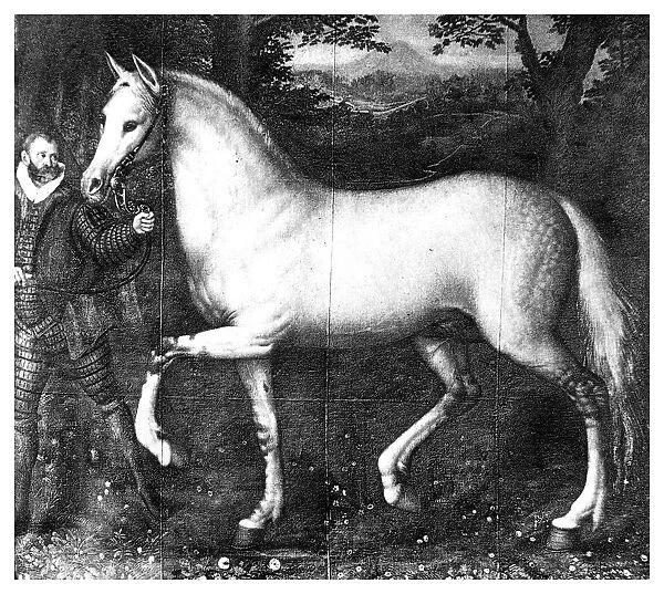Queen Elizabeth Is horse, (1896)