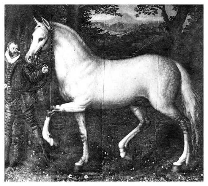 Framed Print : Queen Elizabeth Is horse, (1896) Framed Print : Queen Elizabeth Is horse, (1896)