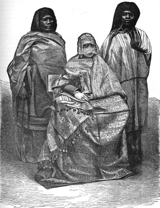 Framed Print : Queen of Mohilla, and her attendants; A Birds-eye View of Madagascar, 1875. Creator: M.D Charnay Framed Print : Queen of Mohilla, and her attendants; A Birds-eye View of Madagascar, 1875. Creator: M.D Charnay