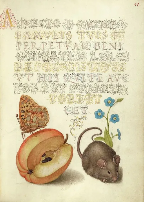 Framed Print : Queen of Spain Fritillary, Apple, Mouse, and Creeping Forget... 1561-2; illumination added 1591-6. Creator: Joris Hoefnagel Framed Print : Queen of Spain Fritillary, Apple, Mouse, and Creeping Forget... 1561-2; illumination added 1591-6. Creator: Joris Hoefnagel