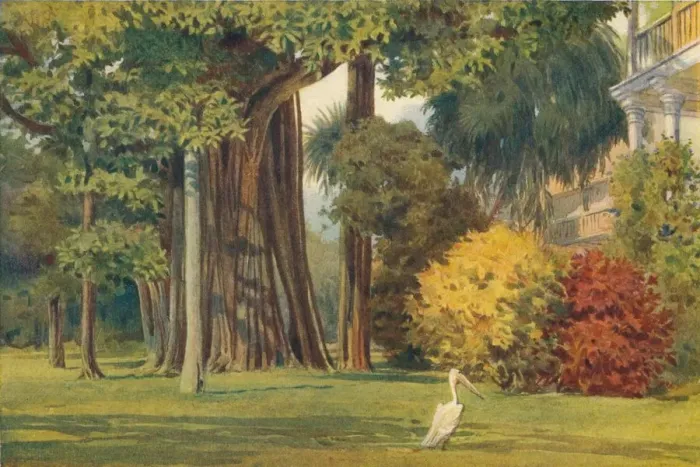 Framed Print : The Queens House, Colombo, c1880 (1905). Artist: Alexander Henry Hallam Murray Framed Print : The Queens House, Colombo, c1880 (1905). Artist: Alexander Henry Hallam Murray