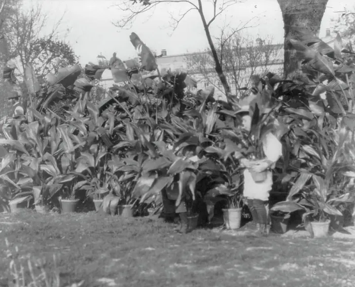 Framed Print : Quentin Roosevelt, 1901. Creator: Frances Benjamin Johnston Framed Print : Quentin Roosevelt, 1901. Creator: Frances Benjamin Johnston