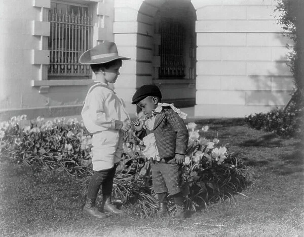Quentin Roosevelt as a child in front of a flower garden...White House, Washington DC, c1900 - 1905. Creator: Frances Benjamin Johnston