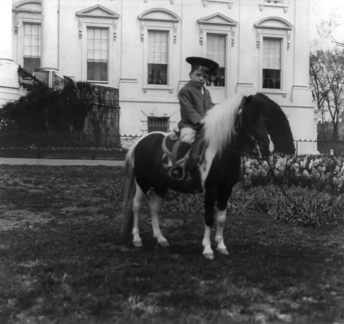 Framed Print : Quentin Roosevelt on a pony, c1902 June 17. Creator: Frances Benjamin Johnston Framed Print : Quentin Roosevelt on a pony, c1902 June 17. Creator: Frances Benjamin Johnston
