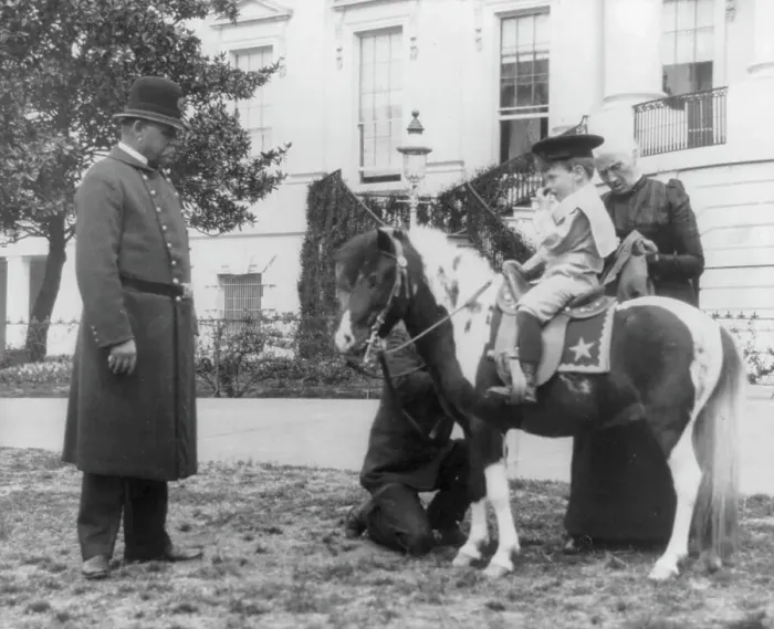 Framed Print : Quentin Roosevelt on pony in front of White House, 1900?. Creator: Frances Benjamin Johnston Framed Print : Quentin Roosevelt on pony in front of White House, 1900?. Creator: Frances Benjamin Johnston
