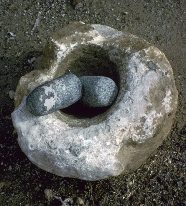 Framed Print : Quern for grinding corn, Neolithic