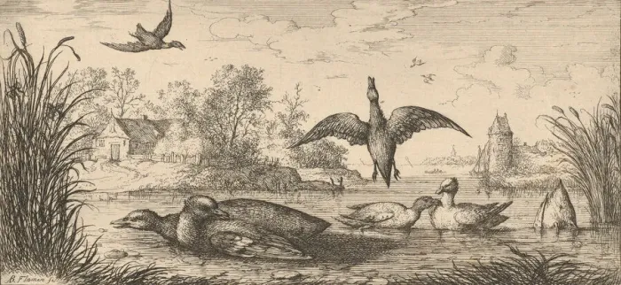 Framed Print : Querquedula, Cercelle (The Teal): Livre d Oyseaux (Book of Birds), 1655-1660 Framed Print : Querquedula, Cercelle (The Teal): Livre d Oyseaux (Book of Birds), 1655-1660