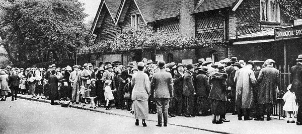 A queue for the zoo on a national holiday, London, 1926-1927