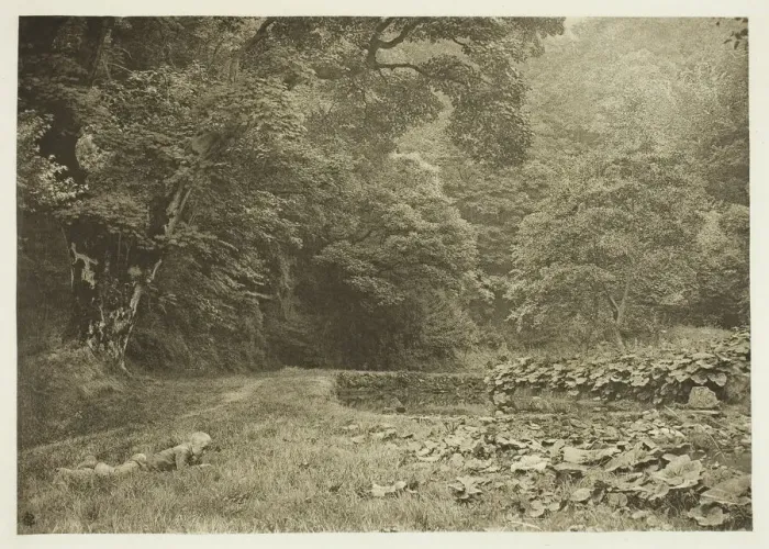 Framed Print : A Quiet Nook in Beresford Dale, 1880s. Creator: Peter Henry Emerson Framed Print : A Quiet Nook in Beresford Dale, 1880s. Creator: Peter Henry Emerson