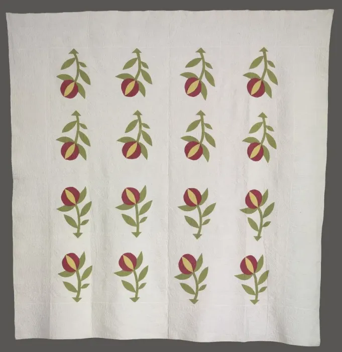 Framed Print : Quilt, c. 1880 (?). Creator: Unknown Framed Print : Quilt, c. 1880 (?). Creator: Unknown