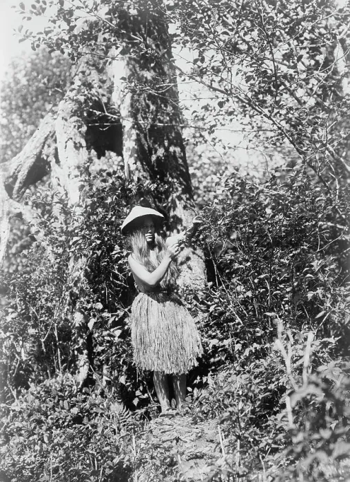 Framed Print : Quinault berry picker, c1913. Creator: Edward Sheriff Curtis Framed Print : Quinault berry picker, c1913. Creator: Edward Sheriff Curtis