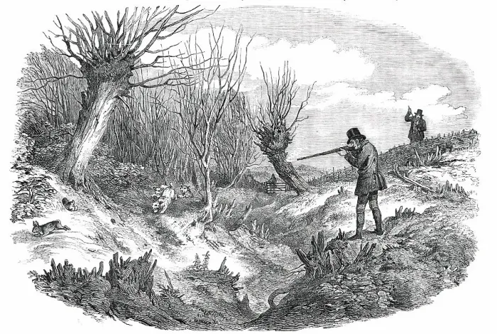 Framed Print : Rabbit-Shooting near Tunbridge - drawn by Duncan, 1850. Creator: Unknown Framed Print : Rabbit-Shooting near Tunbridge - drawn by Duncan, 1850. Creator: Unknown