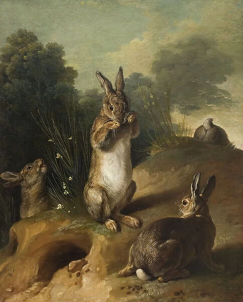 Rabbits, between 1720 and 1729. Creator: Alexandre François Desportes