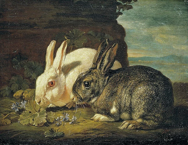 Two Rabbits, Detail from 'Animal Piece', mid-late 17th century. Creator: David de Coninck. Two Rabbits, Detail from 'Animal Piece', mid-late 17th century. Creator: David de Coninck