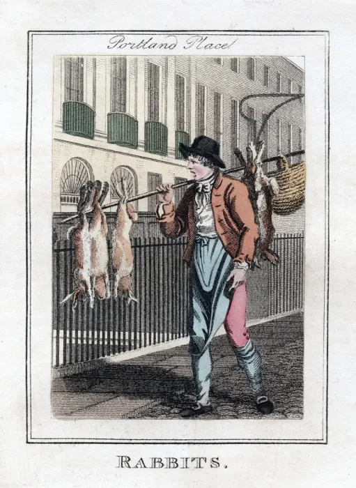 Framed Print : Rabbits, Portland Place, London, 1805 Framed Print : Rabbits, Portland Place, London, 1805
