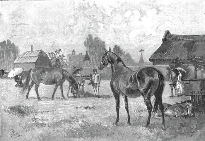 Framed Print : The Racing Season- Notes at Newmarket; Young Thoroughbreds at home, 1890. Creator: Unknown Framed Print : The Racing Season- Notes at Newmarket; Young Thoroughbreds at home, 1890. Creator: Unknown