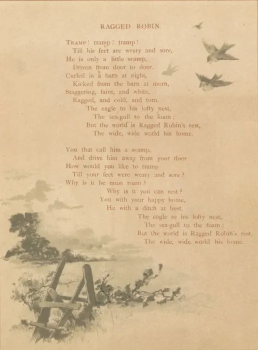 Framed Print : Ragged Robin, late 19th-early 20th century? Creator: Unknown Framed Print : Ragged Robin, late 19th-early 20th century? Creator: Unknown
