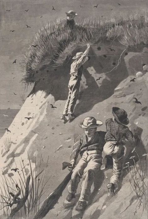 Framed Print : Raid on a Sand-swallow Colony - How Many Eggs?'(Harpers Weekly, Vol Framed Print : Raid on a Sand-swallow Colony - How Many Eggs?'(Harpers Weekly, Vol