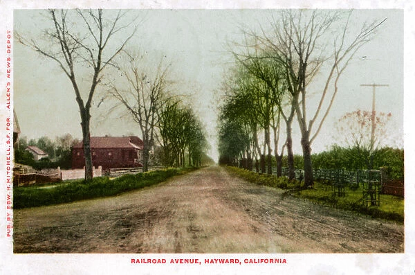 Railroad Avenue, Hayward, California, 1905