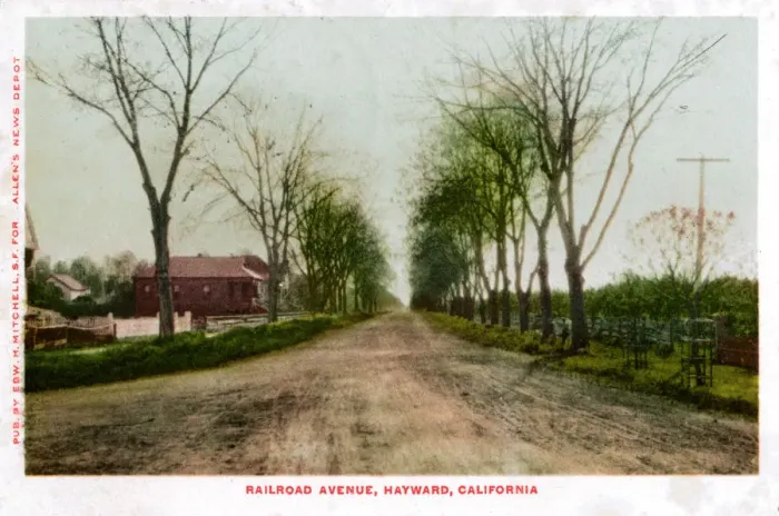 Framed Print : Railroad Avenue, Hayward, California, 1905 Framed Print : Railroad Avenue, Hayward, California, 1905