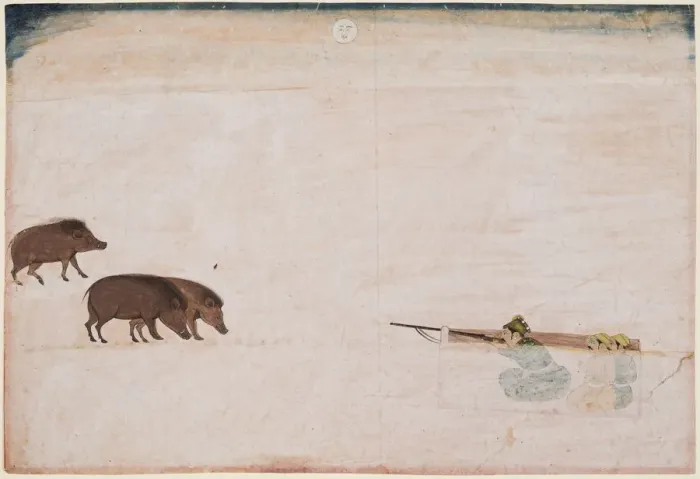 Framed Print : Raja Ram Chand of Amber ? hunting wild boar (r. 1667-1688), c. 1670. Creator: Unknown Framed Print : Raja Ram Chand of Amber ? hunting wild boar (r. 1667-1688), c. 1670. Creator: Unknown