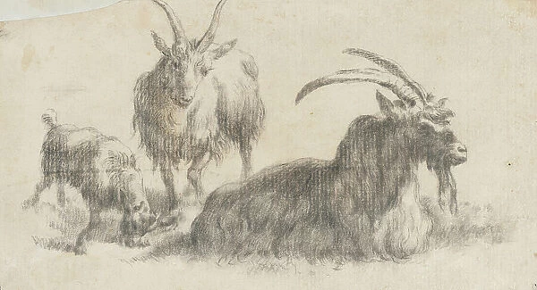 Ram, Ewe and Kid, 17th century. Creator: Marcus de Bye