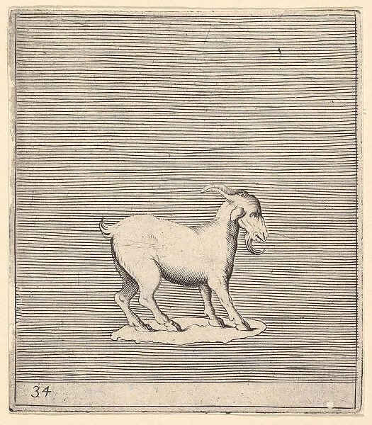 Ram, published ca. 1599-1622. Creator: Unknown