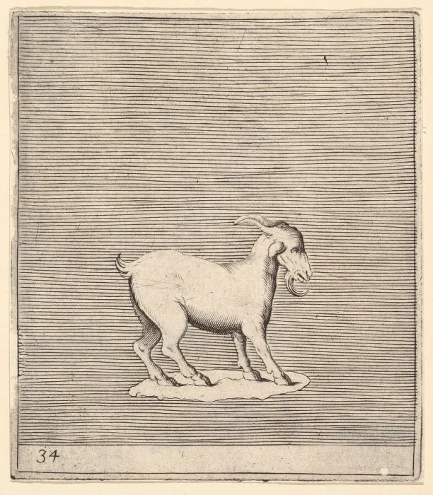 Framed Print : Ram, published ca. 1599-1622. Creator: Unknown Framed Print : Ram, published ca. 1599-1622. Creator: Unknown