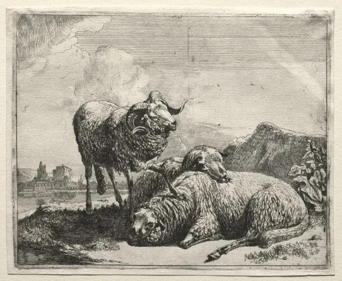 Framed Print : Ram and Two Sheep, 1665. Creator: Johann Heinrich Roos (German, 1631-1685) Framed Print : Ram and Two Sheep, 1665. Creator: Johann Heinrich Roos (German, 1631-1685)