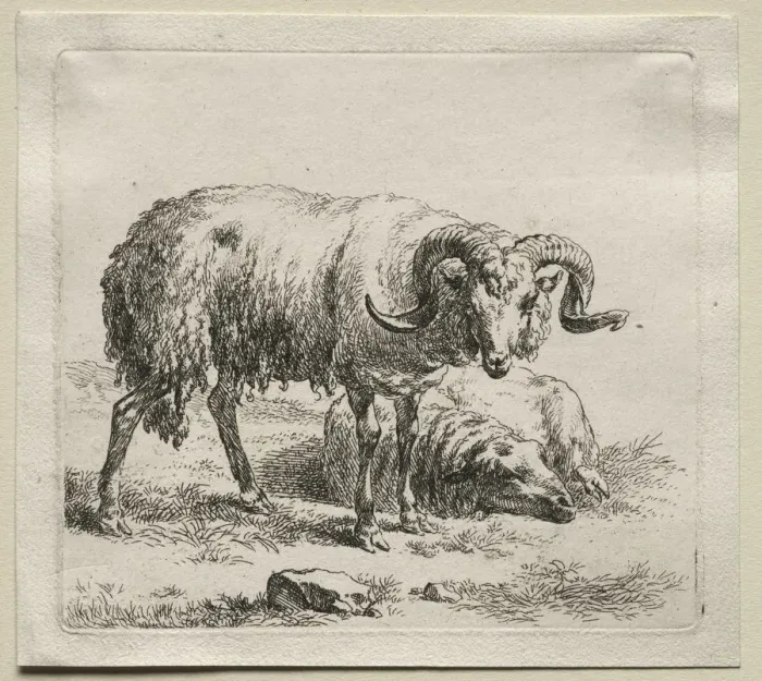 Framed Print : Ram and Sheep. Creator: Nicolaes Berchem (Dutch, 1620-1683) Framed Print : Ram and Sheep. Creator: Nicolaes Berchem (Dutch, 1620-1683)