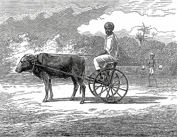 Ramasawmy going to Bazaar, Madras, 1876. Creator: Unknown