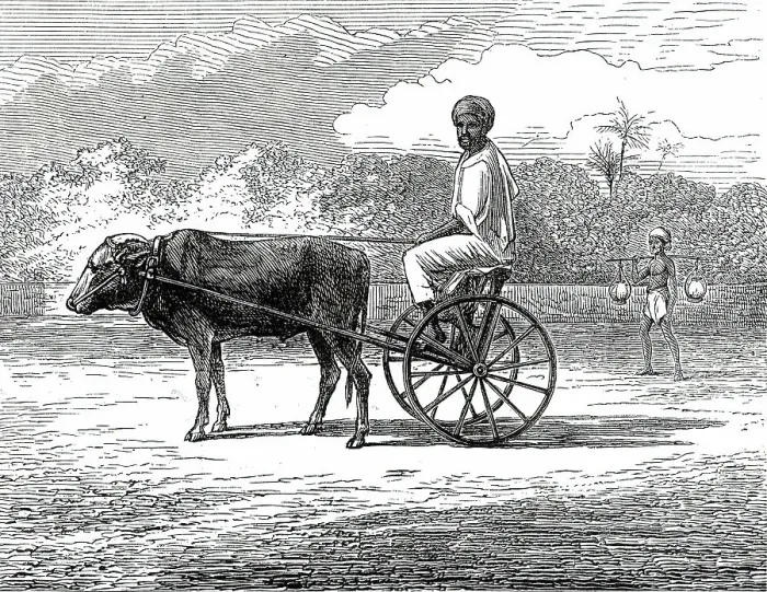 Framed Print : Ramasawmy going to Bazaar, Madras, 1876. Creator: Unknown