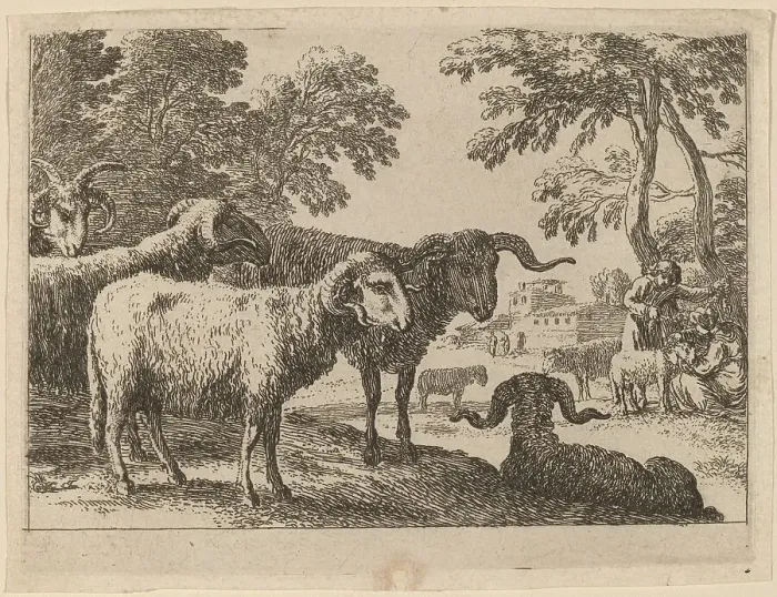 Framed Print : Rams. Creator: Herman van Swanevelt Framed Print : Rams. Creator: Herman van Swanevelt