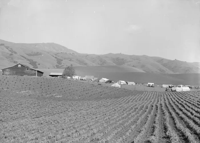 Framed Print : Ranch camp for pea pickers, near Milpitas, Santa Clara County, California, 1939. Creator: Dorothea Lange Framed Print : Ranch camp for pea pickers, near Milpitas, Santa Clara County, California, 1939. Creator: Dorothea Lange
