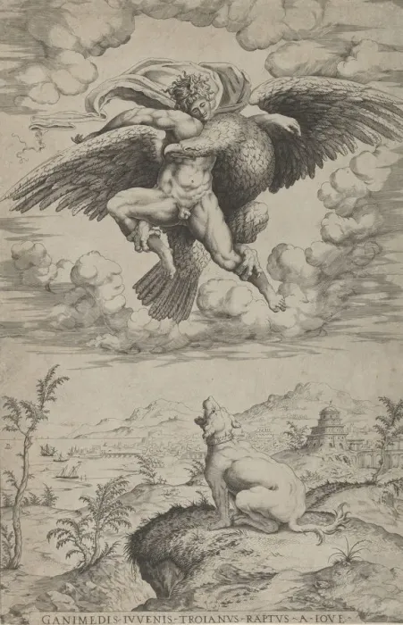 Framed Print : The Rape of Ganymede by Jupiter in the guise of an eagle carrying him into the heavens Framed Print : The Rape of Ganymede by Jupiter in the guise of an eagle carrying him into the heavens