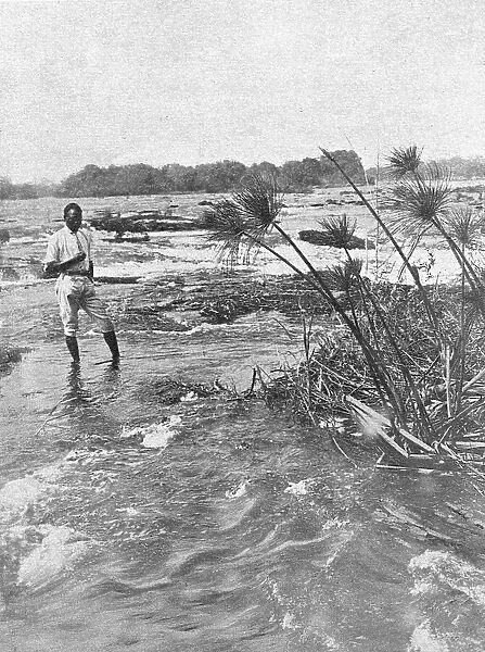 Rapides du Zambeze en amont des chutes Victoria; Afrique Australe, 1914. Creator: Unknown