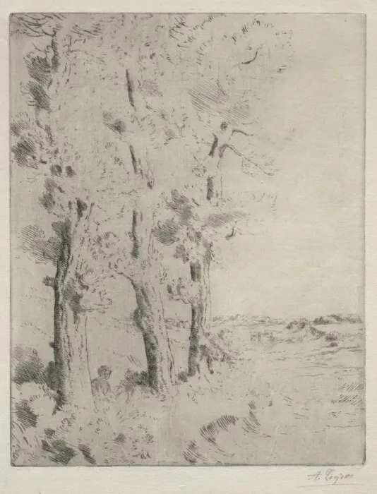 Framed Print : The Reader: The Lecture under the Trees, c. 1882. Creator: Alphonse Legros (French, 1837-1911) Framed Print : The Reader: The Lecture under the Trees, c. 1882. Creator: Alphonse Legros (French, 1837-1911)