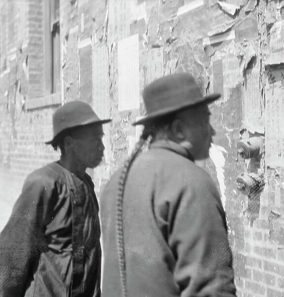 Reading wall notices, Chinatown, San Francisco, between 1896 and 1906. Creator: Arnold Genthe
