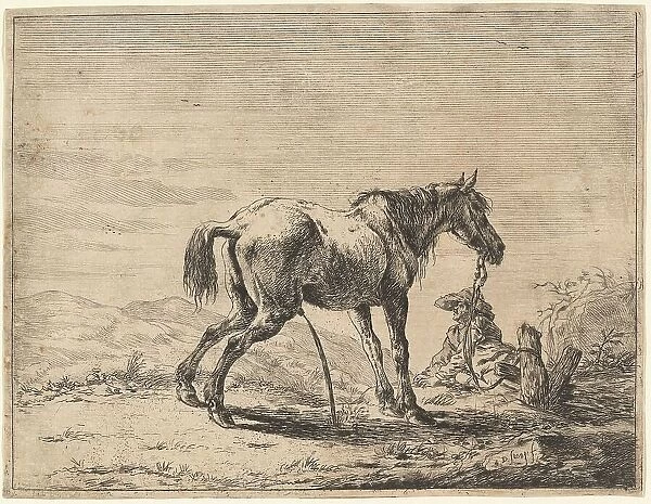 Rearing Horse near a Stable, 1651. Creator: Dirck Stoop