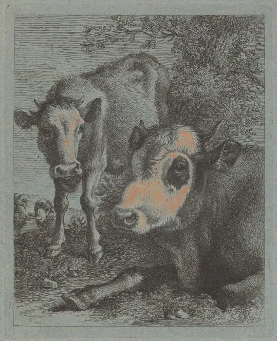 Framed Print : Reclining Cow and Calf in the Open, 1758 / 1759. Creator: Francesco Londonio Framed Print : Reclining Cow and Calf in the Open, 1758 / 1759. Creator: Francesco Londonio