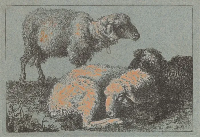 Framed Print : Two Reclining Sheep and One Standing Sheep, 1757 / 1758. Creator: Francesco Londonio Framed Print : Two Reclining Sheep and One Standing Sheep, 1757 / 1758. Creator: Francesco Londonio