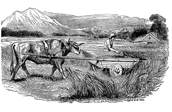 Reconstruction of Roman reaping cart, as described by Pliny, Engraving, 1860