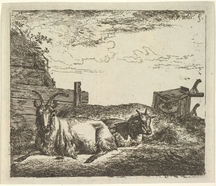 Framed Print : Recumbent Goats, from Different Animals. Creator: Adriaen van de Velde Framed Print : Recumbent Goats, from Different Animals. Creator: Adriaen van de Velde